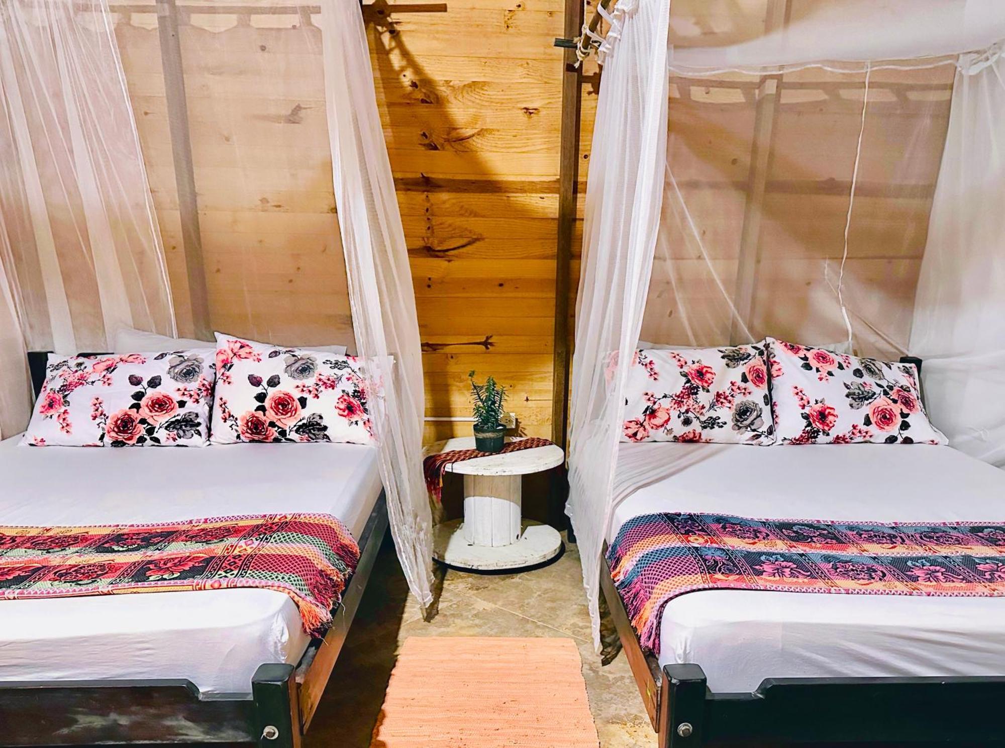 Bella Flor Hostel 帕洛米诺 外观 照片