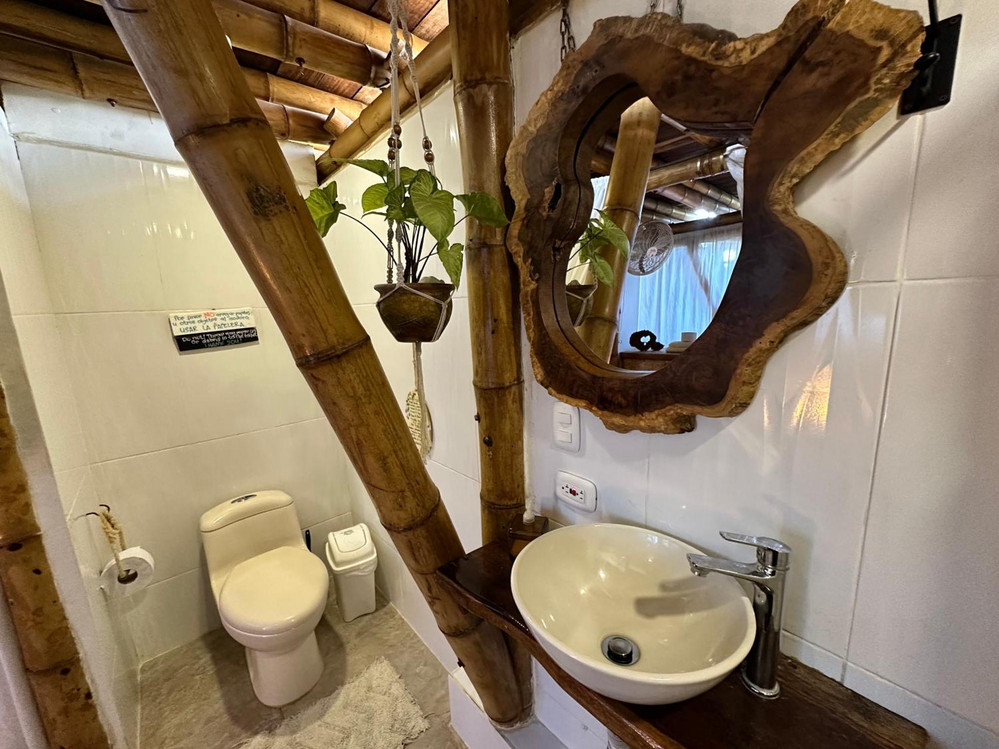 Bella Flor Hostel 帕洛米诺 外观 照片